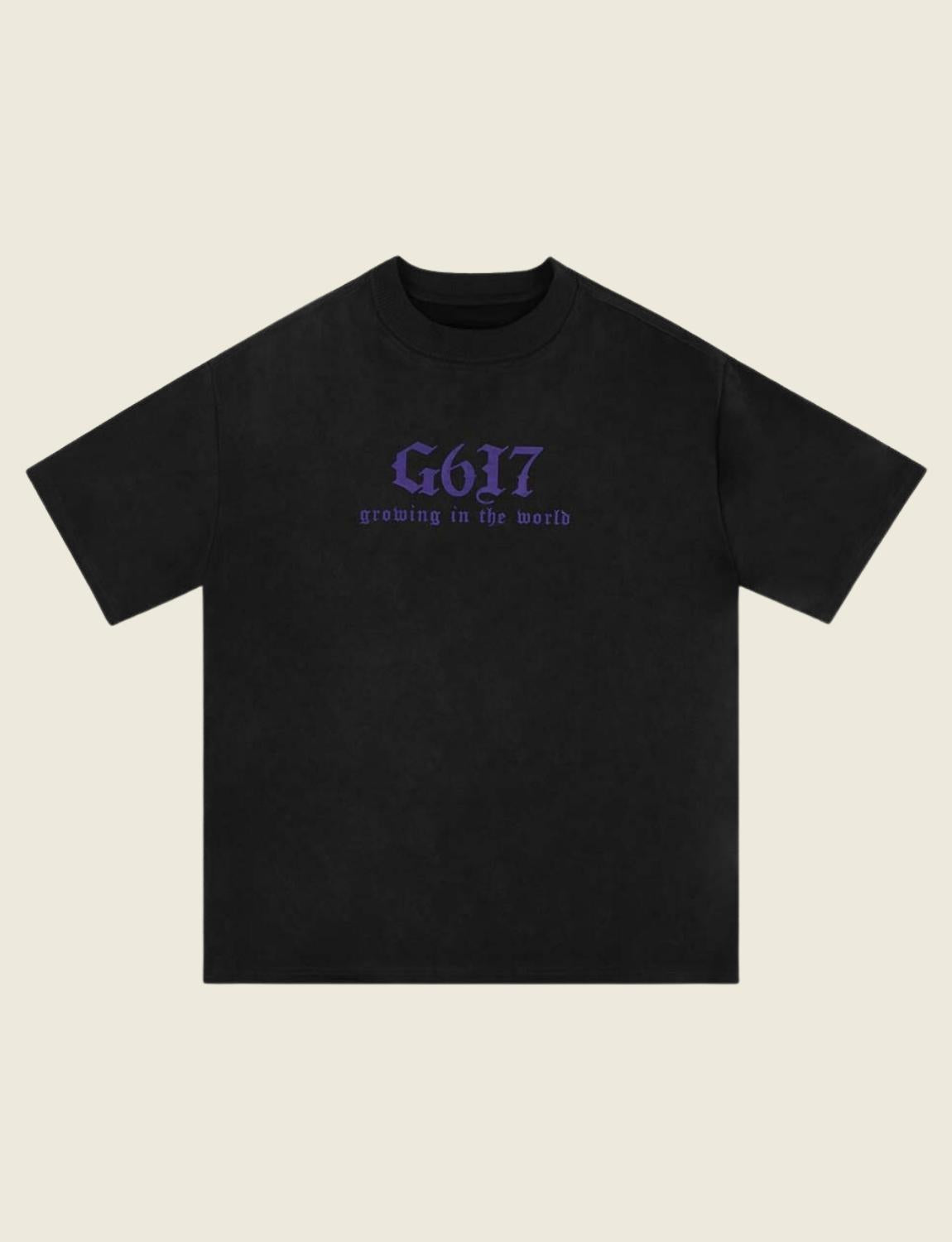 FSW® Washed G617 T-Shirt